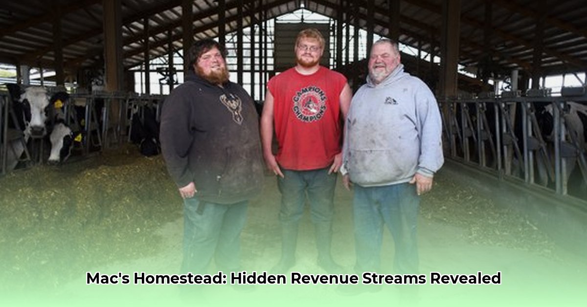 the-mac-s-homestead-net-worth